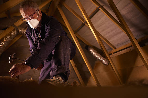 Types of Insulation We Offer in Azusa, CA